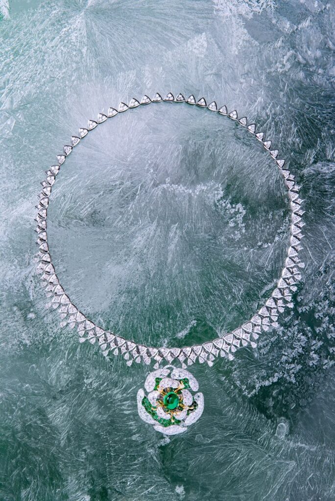 45e8b8189259343.65a8c4c094439-684x1024